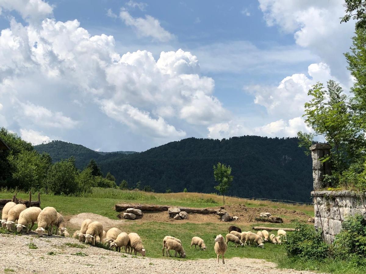B&B Mad Mountain Robidisce Zewnętrze zdjęcie